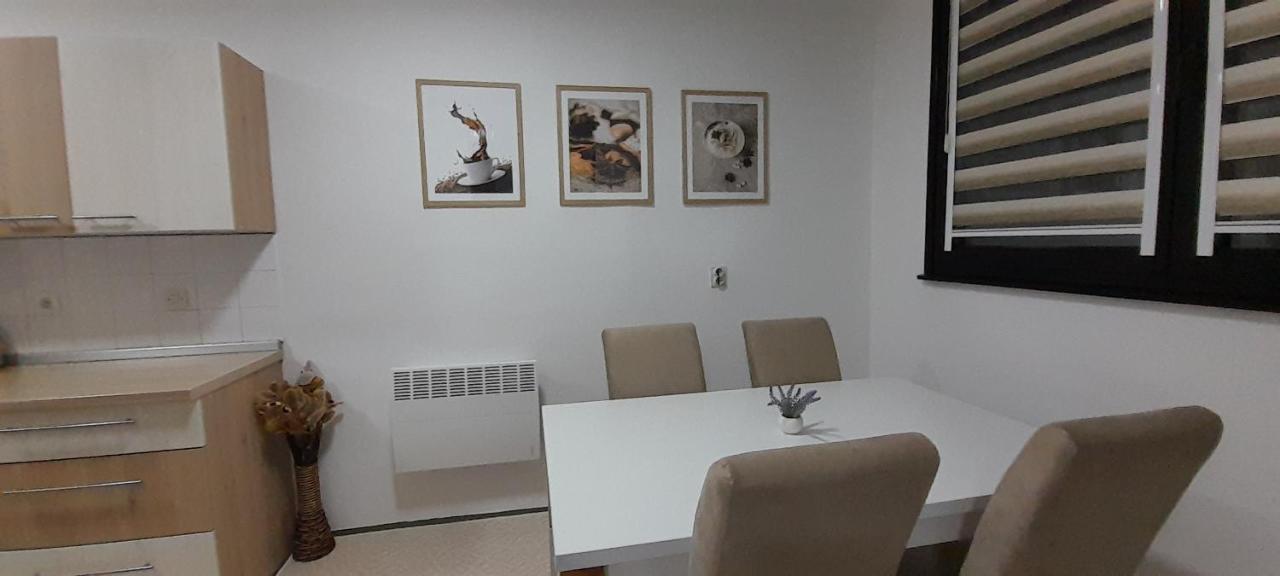 Cozy And Sunny Apartment Near The Airport 사라예보 외부 사진