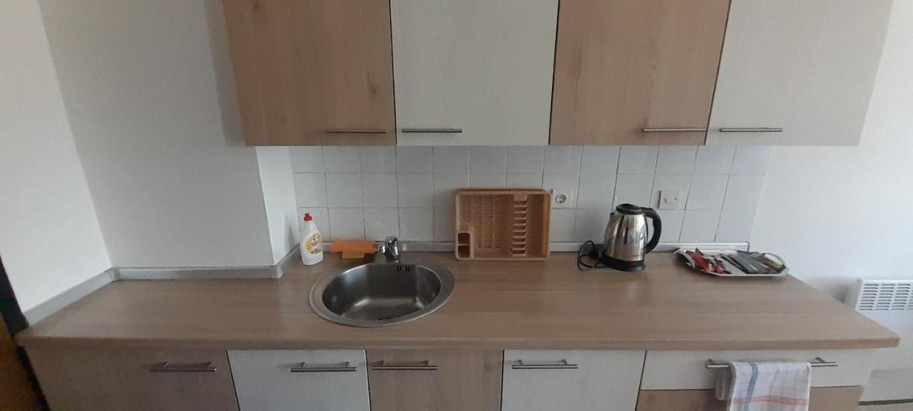 Cozy And Sunny Apartment Near The Airport 사라예보 외부 사진